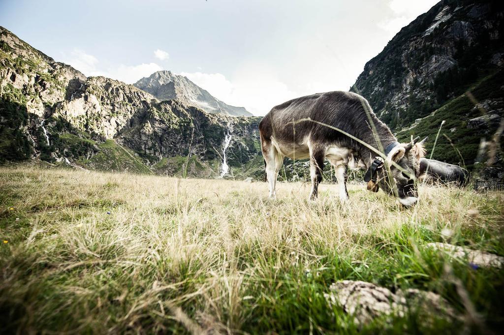 Alpenchalet Vital Neustift im Stubaital Exterior foto
